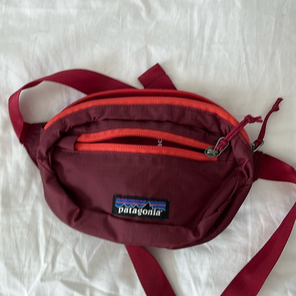 Patagonia belt bag